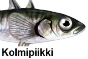 thkuvakolmipiikki.jpg